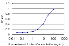 ZIC / ZIC1 Antibody - Detection limit for recombinant GST tagged ZIC1 is approximately 0.3 ng/ml as a capture antibody.