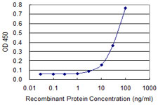 ZIC3 Antibody - Detection limit for recombinant GST tagged ZIC3 is approximately 10 ng/ml as a capture antibody.