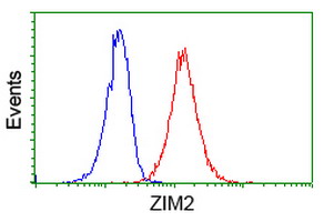 ZIM2 Antibody - Flow cytometry of Jurkat cells, using anti-ZIM2 antibody (Red), compared to a nonspecific negative control antibody (Blue).