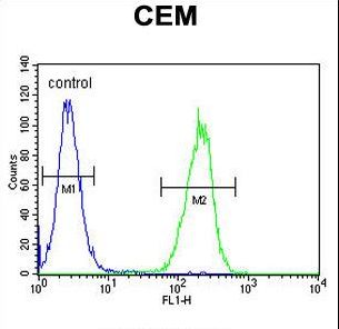 ZMYND10 Antibody - ZMYND10 Antibody flow cytometry of CEM cells (right histogram) compared to a negative control cell (left histogram). FITC-conjugated goat-anti-rabbit secondary antibodies were used for the analysis.