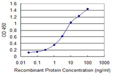 ZMYND10 Antibody - Detection limit for recombinant GST tagged ZMYND10 is 0.03 ng/ml as a capture antibody.