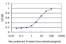 ZNF131 Antibody - Detection limit for recombinant GST tagged ZNF131 is approximately 0.3 ng/ml as a capture antibody.