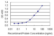 ZNF134 Antibody - Detection limit for recombinant GST tagged ZNF134 is 0.1 ng/ml as a capture antibody.