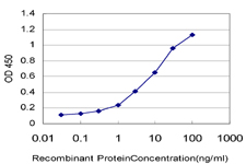 ZNF136 Antibody - Detection limit for recombinant GST tagged ZNF136 is approximately 0.1 ng/ml as a capture antibody.