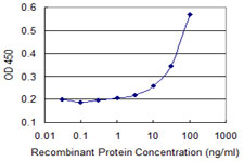 ZNF157 Antibody - Detection limit for recombinant GST tagged ZNF157 is 3 ng/ml as a capture antibody.