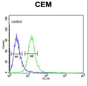 ZNF160 Antibody - ZN160 Antibody flow cytometry of CEM cells (right histogram) compared to a negative control cell (left histogram). FITC-conjugated goat-anti-rabbit secondary antibodies were used for the analysis.