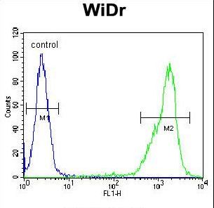 ZNF180 Antibody - ZN180 Antibody flow cytometry of WiDr cells (right histogram) compared to a negative control cell (left histogram). FITC-conjugated goat-anti-rabbit secondary antibodies were used for the analysis.
