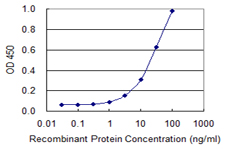 ZNF180 Antibody - Detection limit for recombinant GST tagged ZNF180 is 0.3 ng/ml as a capture antibody.