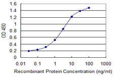 ZNF192 Antibody - Detection limit for recombinant GST tagged ZNF192 is 0.03 ng/ml as a capture antibody.