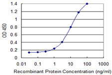 ZNF23 Antibody - Detection limit for recombinant GST tagged ZNF23 is 0.3 ng/ml as a capture antibody.
