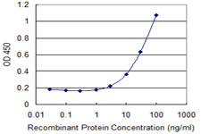 ZNF266 Antibody - Detection limit for recombinant GST tagged ZNF266 is 1 ng/ml as a capture antibody.