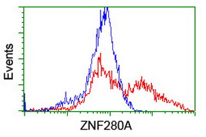 ZNF280A Antibody - HEK293T cells transfected with either overexpress plasmid (Red) or empty vector control plasmid (Blue) were immunostained by anti-ZNF280A antibody, and then analyzed by flow cytometry.
