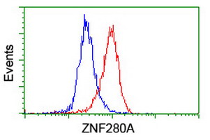 ZNF280A Antibody - Flow cytometry of HeLa cells, using anti-ZNF280A antibody (Red), compared to a nonspecific negative control antibody (Blue).