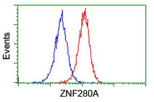 ZNF280A Antibody - Flow cytometry of Jurkat cells, using anti-ZNF280A antibody (Red), compared to a nonspecific negative control antibody (Blue).