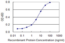 ZNF281 / Zfp281 Antibody - Detection limit for recombinant GST tagged ZNF281 is 0.1 ng/ml as a capture antibody.