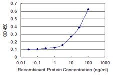 ZNF397 Antibody - Detection limit for recombinant GST tagged ZNF397 is 1 ng/ml as a capture antibody.