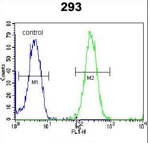 ZNF780A Antibody - ZNF780A Antibody flow cytometry of 293 cells (right histogram) compared to a negative control cell (left histogram). FITC-conjugated goat-anti-rabbit secondary antibodies were used for the analysis.