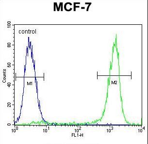 ZNF829 Antibody - ZNF829 Antibody flow cytometry of MCF-7 cells (right histogram) compared to a negative control cell (left histogram). FITC-conjugated goat-anti-rabbit secondary antibodies were used for the analysis.