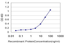ZNF92 Antibody - Detection limit for recombinant GST tagged ZNF92 is approximately 0.1 ng/ml as a capture antibody.