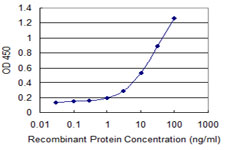 ZP2 Antibody - Detection limit for recombinant GST tagged ZP2 is 0.3 ng/ml as a capture antibody.