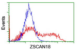 ZSCAN18 / ZNF447 Antibody - HEK293T cells transfected with either overexpress plasmid (Red) or empty vector control plasmid (Blue) were immunostained by anti-ZSCAN18 antibody, and then analyzed by flow cytometry.