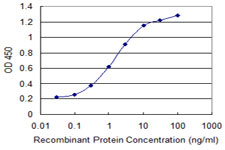 ZSCAN29 Antibody - Detection limit for recombinant GST tagged ZSCAN29 is 0.03 ng/ml as a capture antibody.