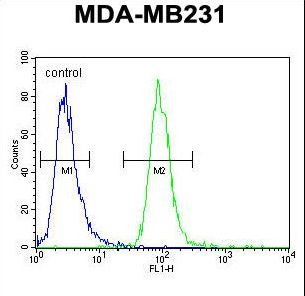 ZSWIM6 Antibody - ZSWIM6 Antibody flow cytometry of MDA-MB231 cells (right histogram) compared to a negative control cell (left histogram). FITC-conjugated goat-anti-rabbit secondary antibodies were used for the analysis.